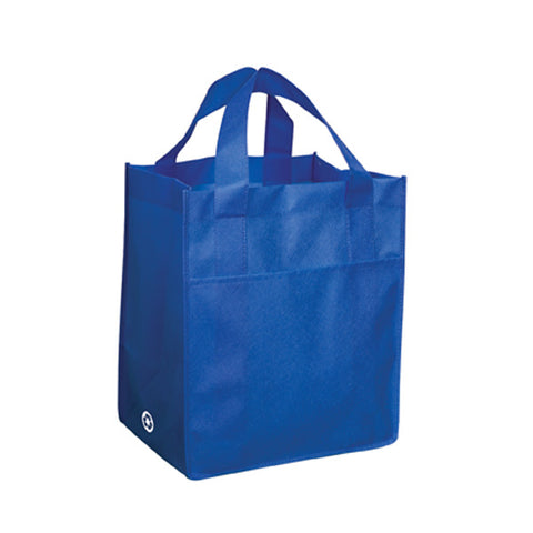 Non Woven Carry All Bag