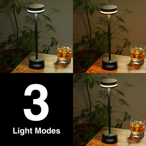reNew Nightshade Rechargeable 3 Mode Desk Lamp