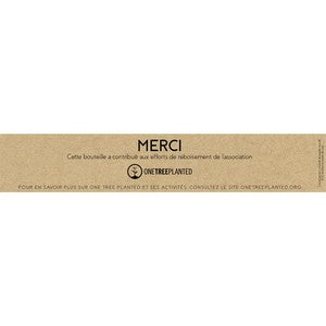 Trend Setter Natural 600 Ml / 20 Oz Stainless Steel Bottle