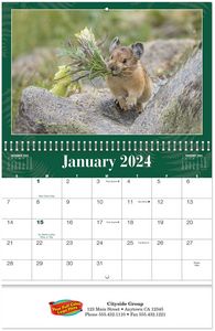 Full Colour North American Wildlife Spiral Wall Calendar