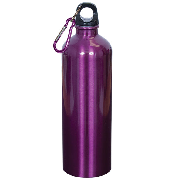 750Ml (25 Fl. Oz.) Stainless Steel Water Bottle
