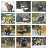 HotLine Products Wildlife Appointment Calendar - Spiral month image