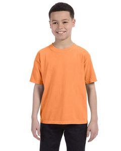 Comfort Colors Youth Midweight T-Shirt