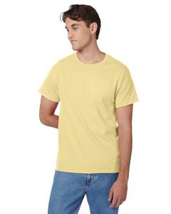 Hanes Printables Men's Authentic-T T-Shirt