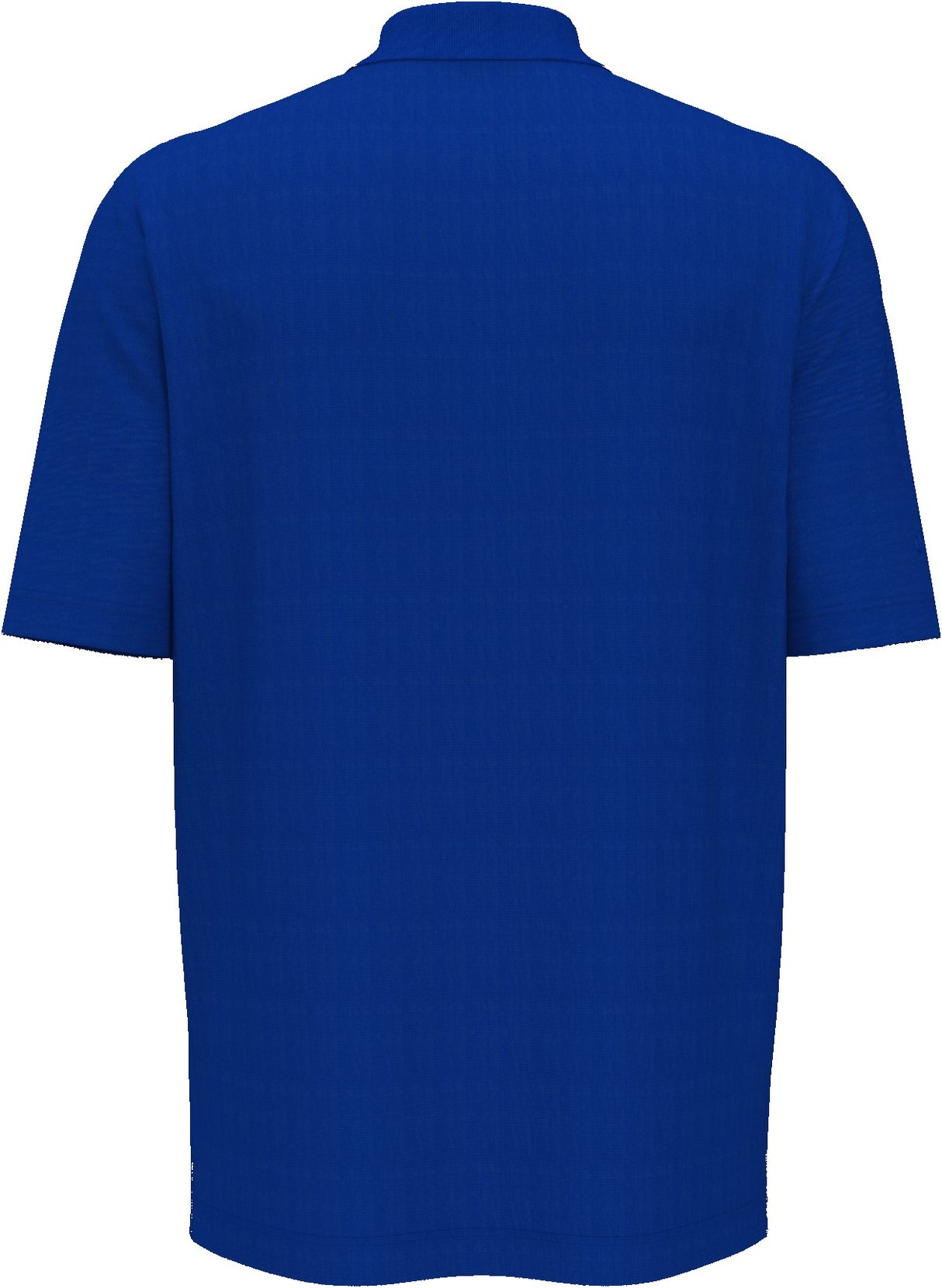 Magnetic Blue Back