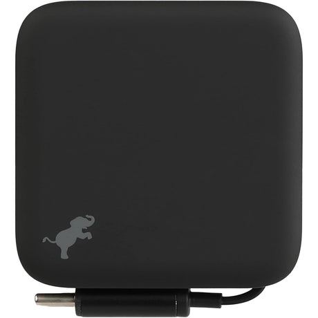 Wally Stretch 35 Wall Charger with cable