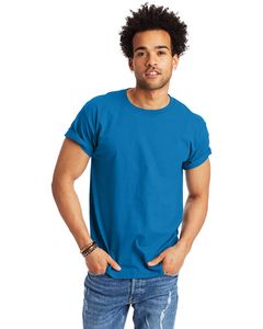 Hanes Printables Men's Authentic-T T-Shirt