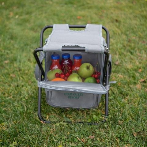 Riverbend Foldable Cooler Backpack & Chair