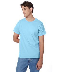 Hanes Printables Men's Authentic-T T-Shirt