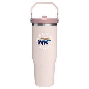 Stanley IceFlowT 2.0 Flip Straw Tumbler 30 oz