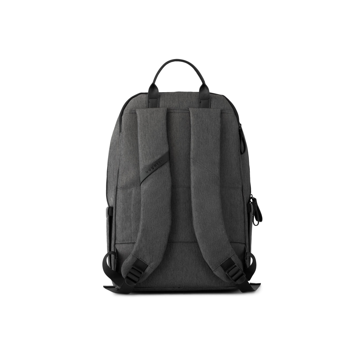 Grey Back
