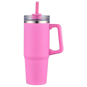 Milo 30 oz Vacuum Insulated Stainless Steel Mug with Straw