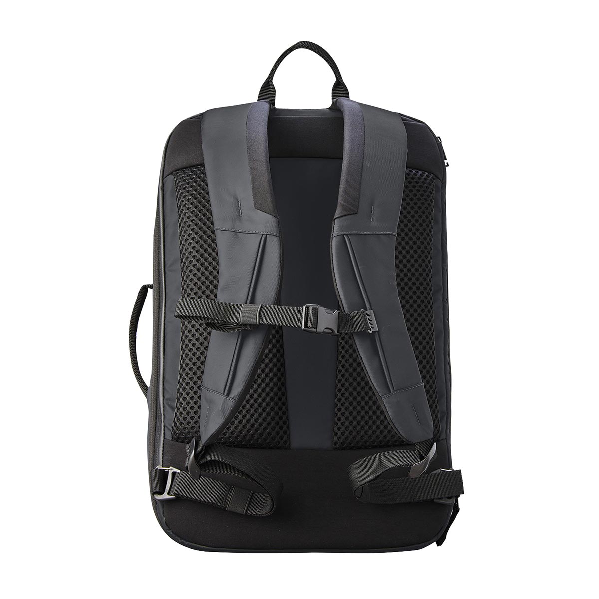 GRAPHITE - BACK