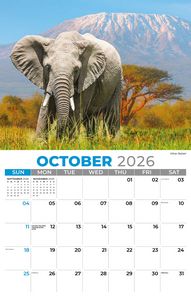 Galleria Wall Calendar 2026 International Wildlife