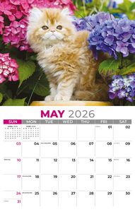 Galleria Wall Calendar 2026 Kittens Calendar