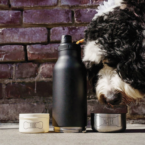 34 oz Asobu Barky Water Bottle