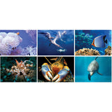 Underwater World Spiral Wall Calendar