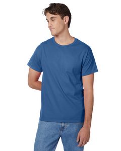 Hanes Printables Men's Authentic-T T-Shirt