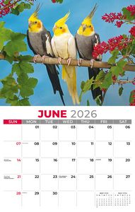 Galleria Wall Calendar 2026 Pets