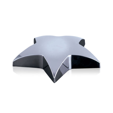 Hollister Star Paperweight