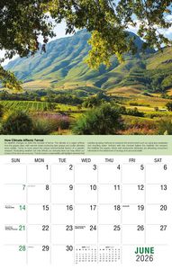 Galleria Wall Calendar 2026 Vintages