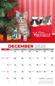 Galleria Wall Calendar 2026 Kittens Calendar