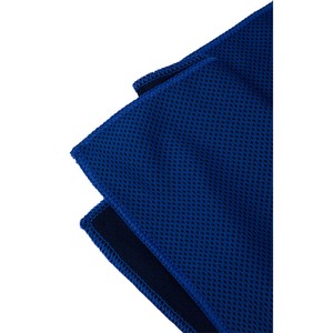 Cooling Towel with Travel Pouch