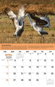 Galleria Wall Calendar 2026 Planet Earth Calendar