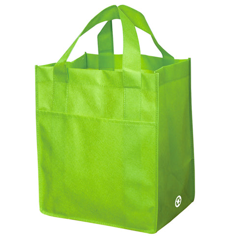 Non Woven Carry All Bag