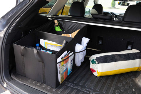 Recycled Trunk Organizer