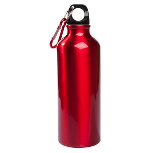 17 Oz. Aluminum Petite Bottle