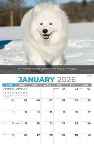 Galleria Wall Calendar 2026 Dogs Calendar