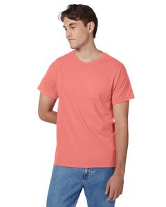 Hanes Printables Men's Authentic-T T-Shirt
