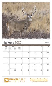 Wildlife Appointment Calendar - Spiral