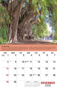 Galleria Wall Calendar 2026 Planet Earth Calendar
