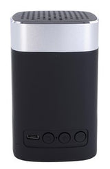 32482 silver back image