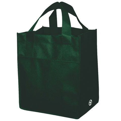 Non Woven Carry All Bag