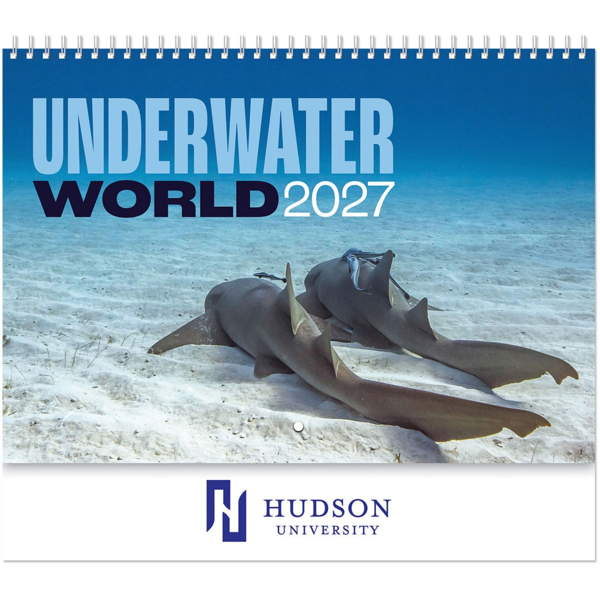 Underwater World Spiral Wall Calendar