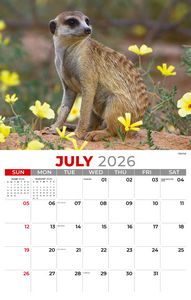 Galleria Wall Calendar 2026 International Wildlife