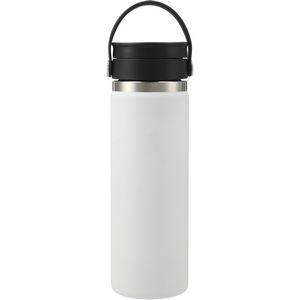Hydro Flaskr Wide Mouth 20 oz Bottle with Flex Sip LidT