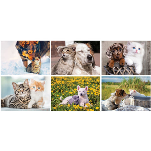 Furry Friends Desk Calendar