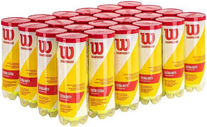 Championship Extra Duty Tennis Ball 3 Pack