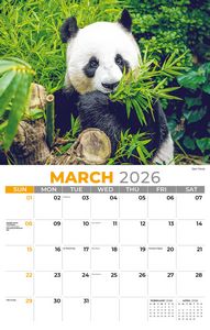 Galleria Wall Calendar 2026 International Wildlife