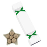 Holiday Party Crackers - S'mores Bites