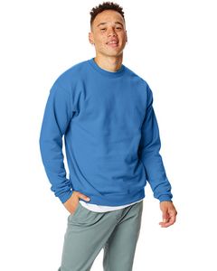 Hanes Printables Unisex Ecosmart® Crewneck Sweatshirt