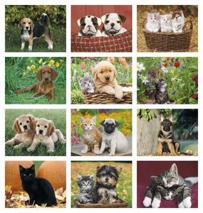 Four Paws Appointment Calendar - Spiral