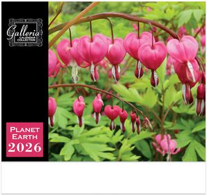 Galleria Wall Calendar 2026 Planet Earth Calendar