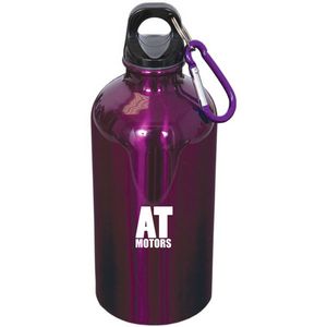 500 Ml (17 Fl. Oz.) Stainless Steel Bottle With Carabiner