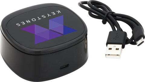 Swivel TWS Wireless Earbuds and Charger Case