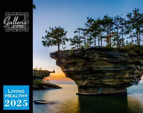 Galleria Wall Calendar 2025 Living Healthy